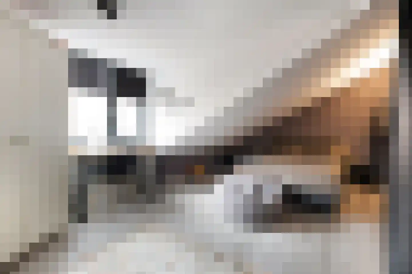 Welle 14 Veldhoven thumbnail 38