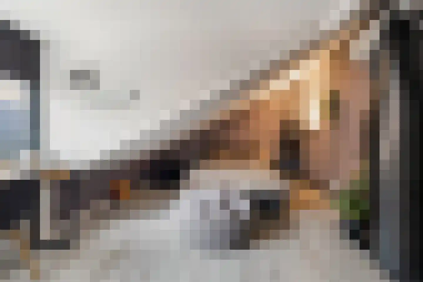 Welle 14 Veldhoven thumbnail 39