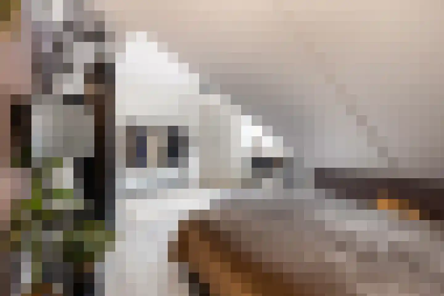 Welle 14 Veldhoven thumbnail 40