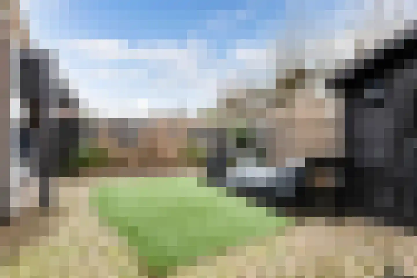 Welle 14 Veldhoven thumbnail 43