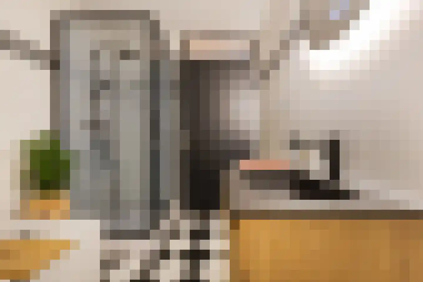 Welle 14 Veldhoven thumbnail 6