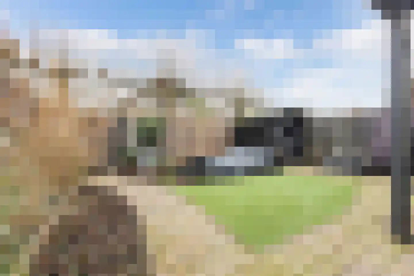 Welle 14 Veldhoven thumbnail 7
