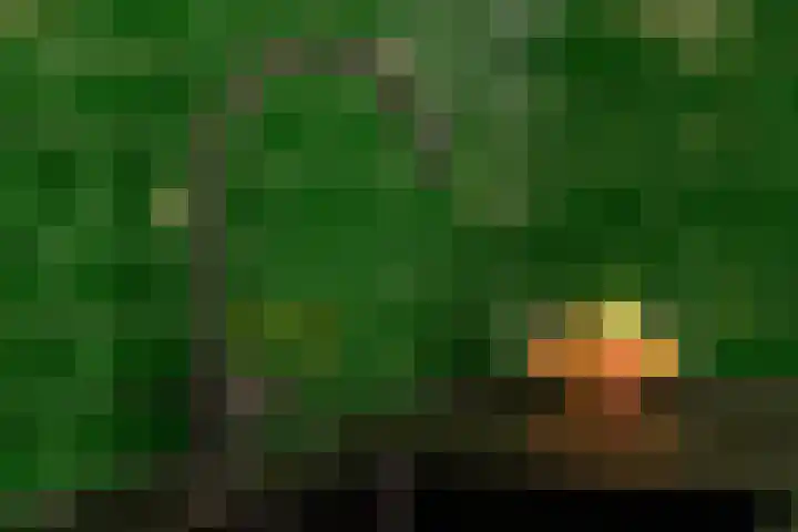 Welle 2 E Koudekerke thumbnail 10