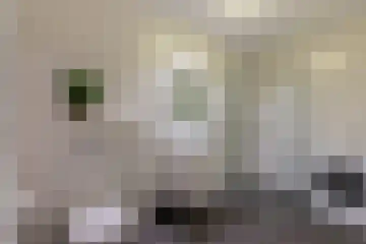 Welle 2 E Koudekerke thumbnail 15