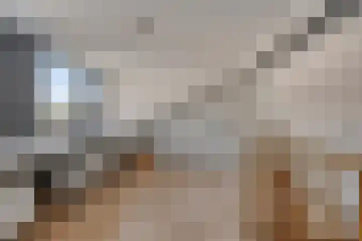 Welle 2 Veldhoven thumbnail 33