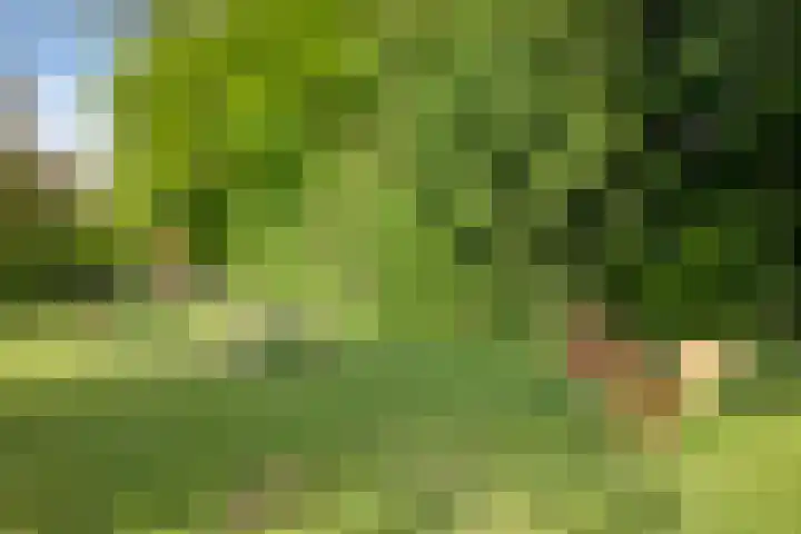 Welle 2 Veldhoven thumbnail 44