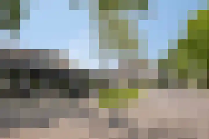Welle 2 Veldhoven thumbnail 45