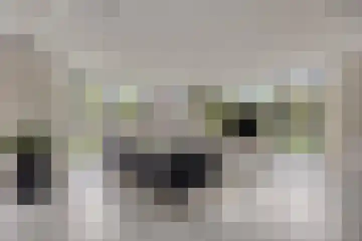 Welle 2 Veldhoven thumbnail 8