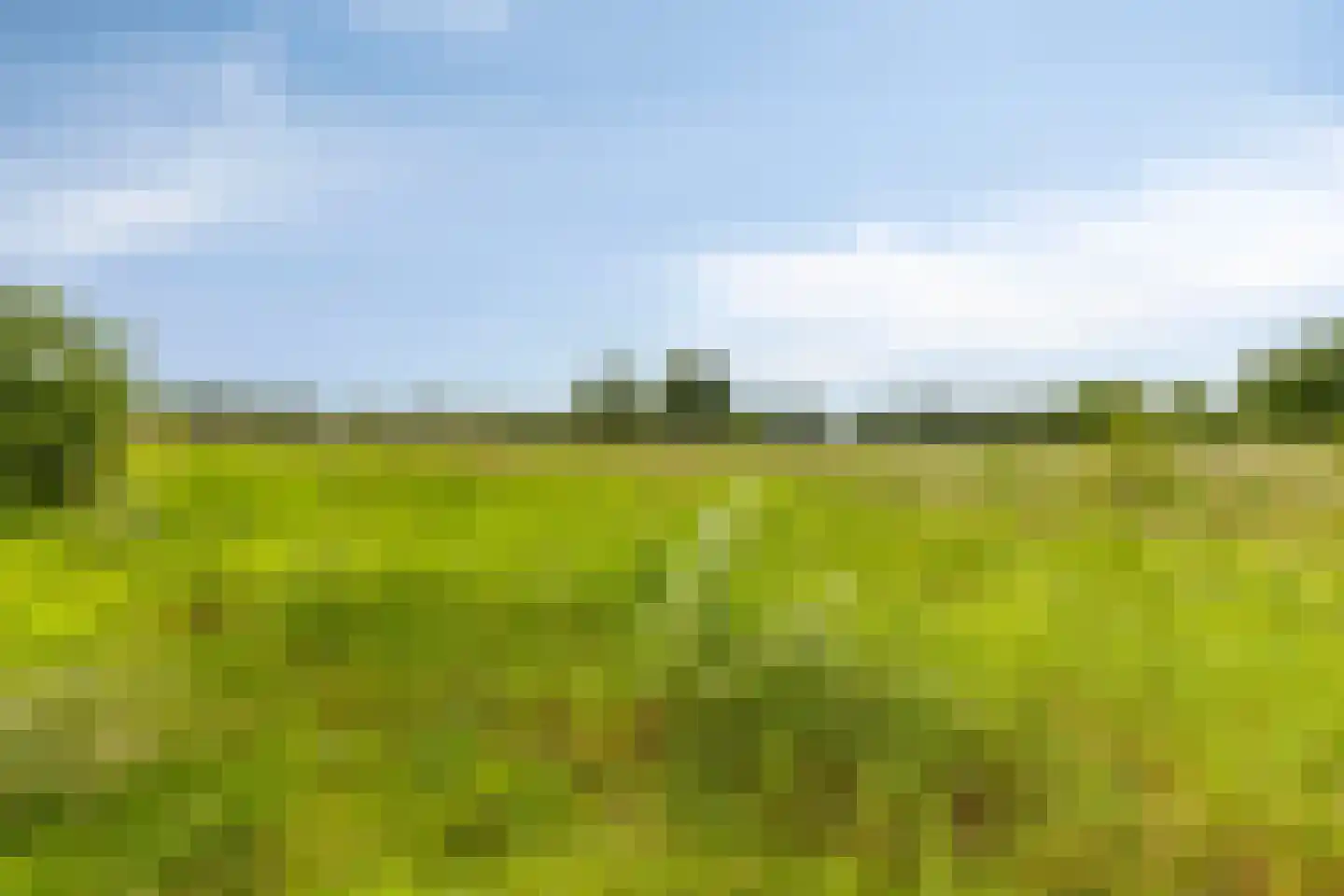 Welle 44 Veldhoven thumbnail 24