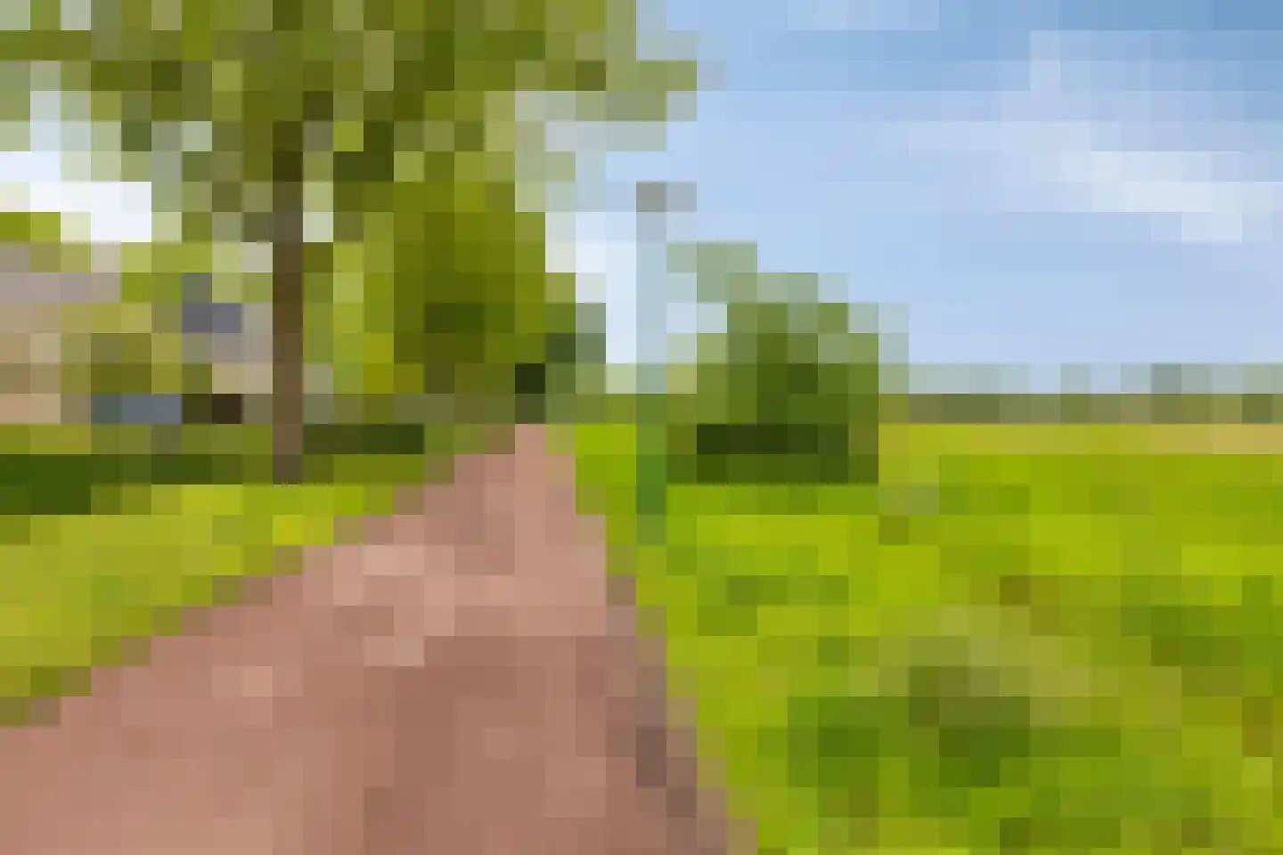 Welle 44 Veldhoven thumbnail 25