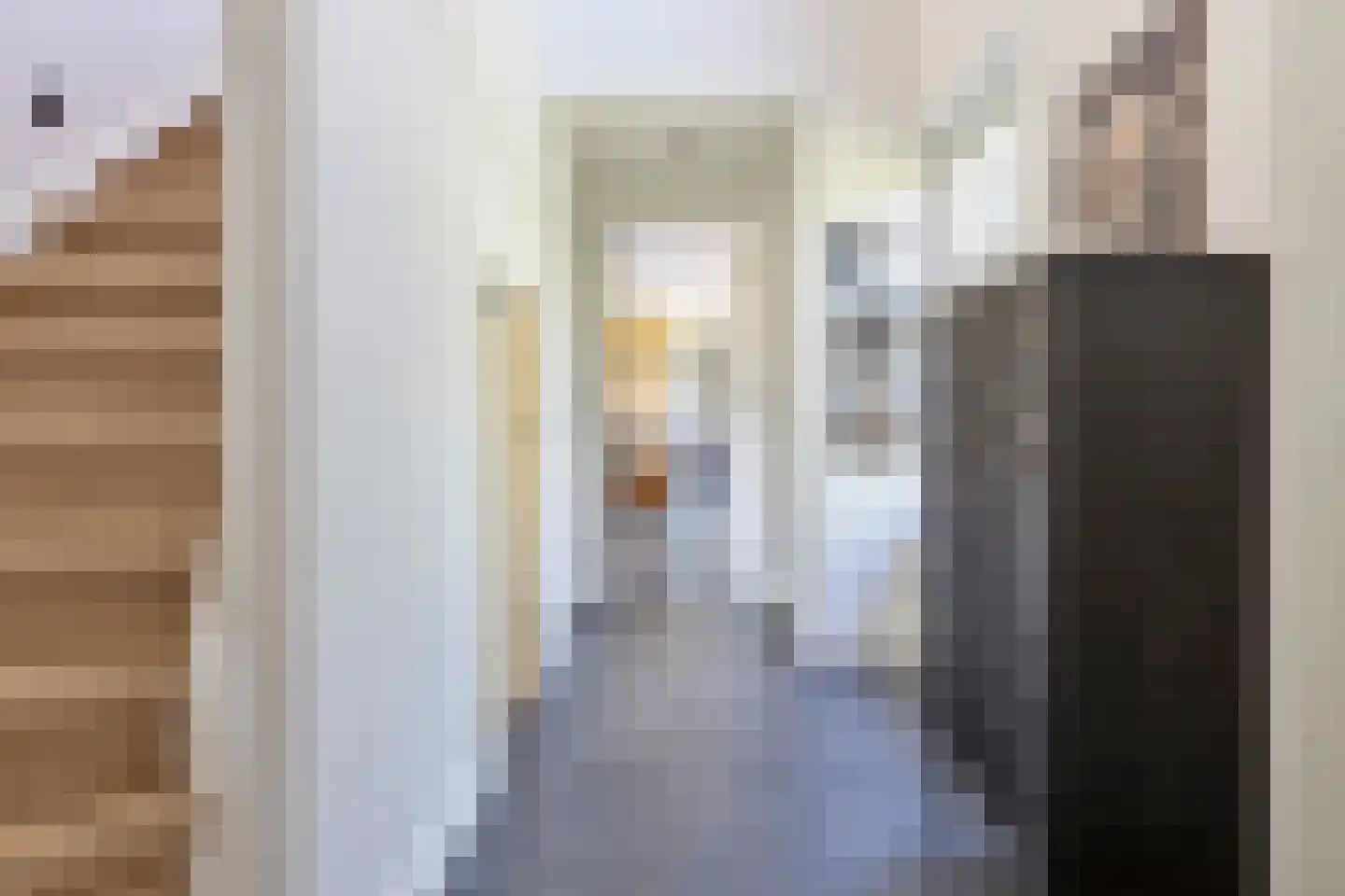 Wellenseind 3 A Lage Mierde thumbnail 16