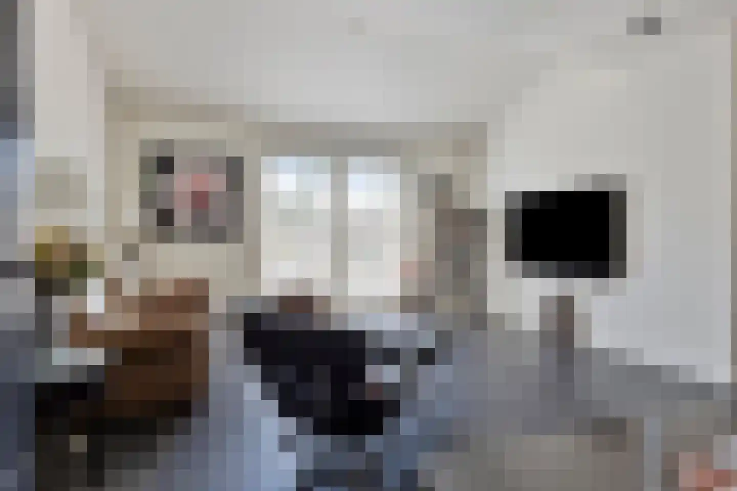 Wellenseind 3 A Lage Mierde thumbnail 18
