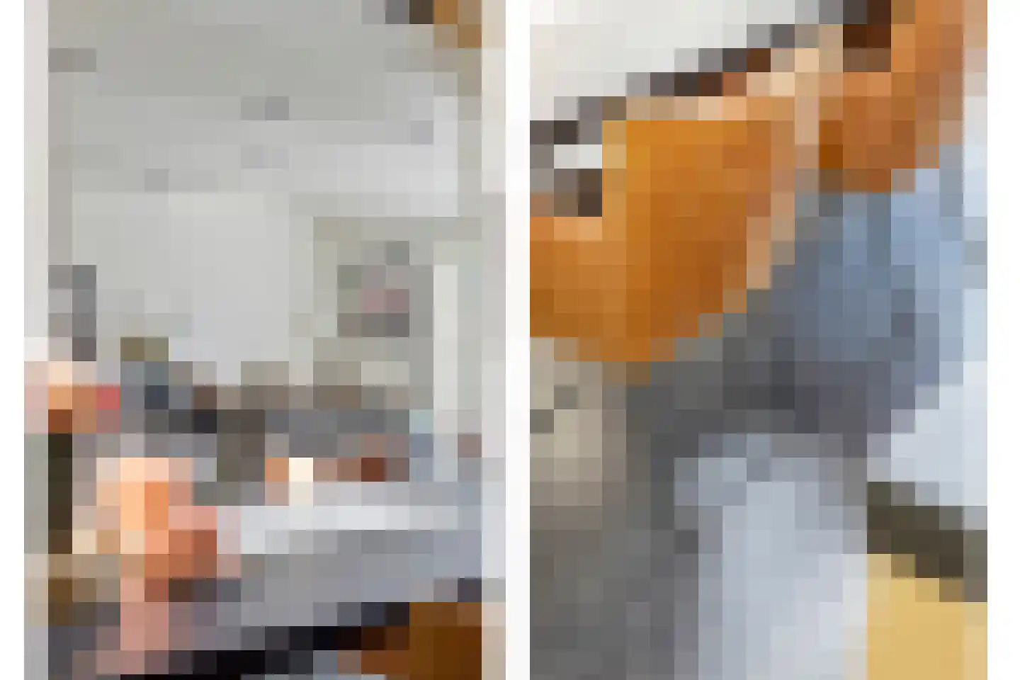 Wellenseind 3 A Lage Mierde thumbnail 20