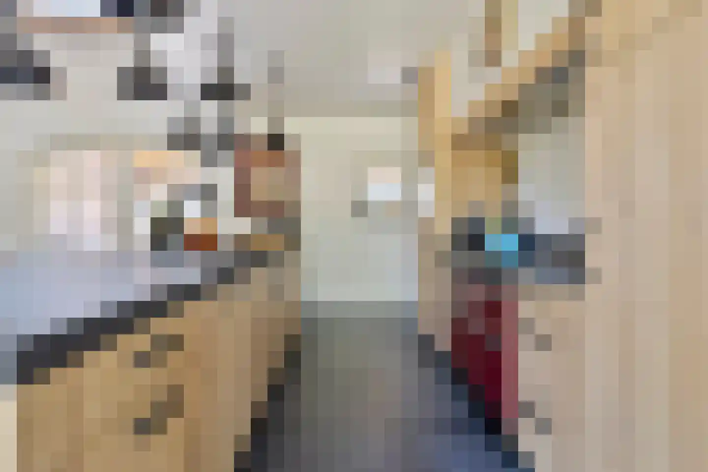 Wellenseind 3 A Lage Mierde thumbnail 25