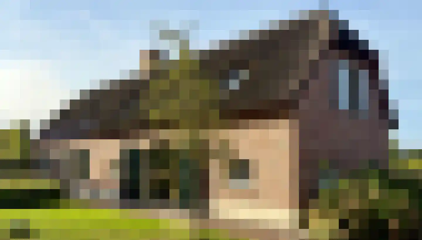 Wellenseind 3 A Lage Mierde foto 3