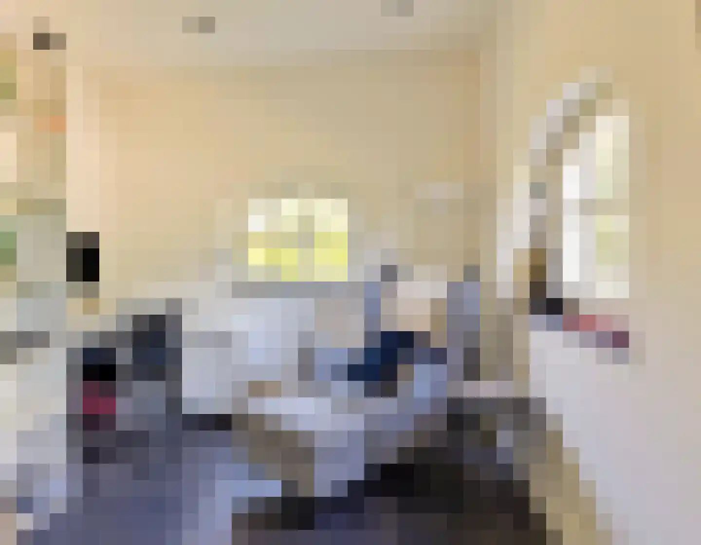 Wellenseind 3 A Lage Mierde thumbnail 33