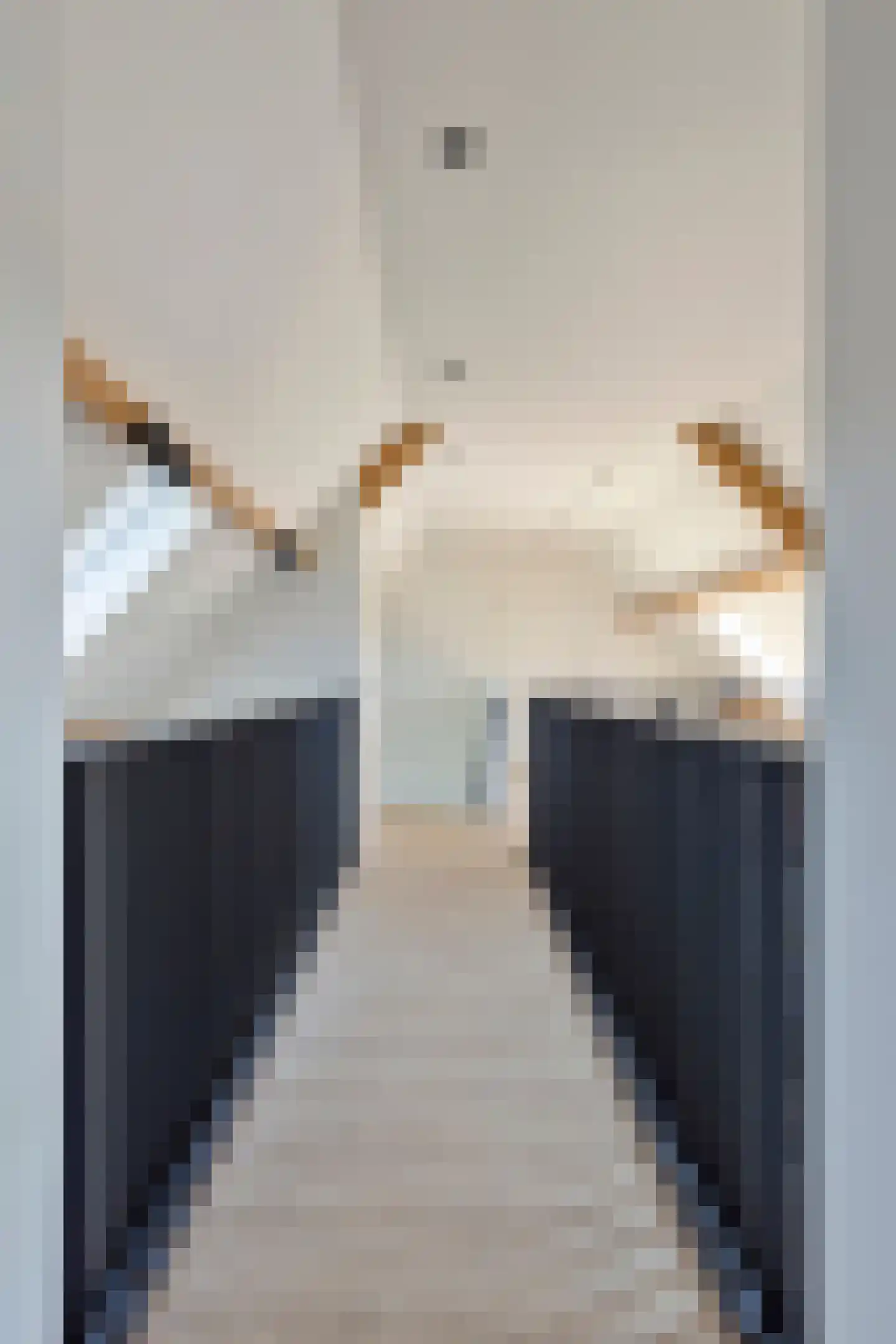 Wellenseind 3 A Lage Mierde thumbnail 38
