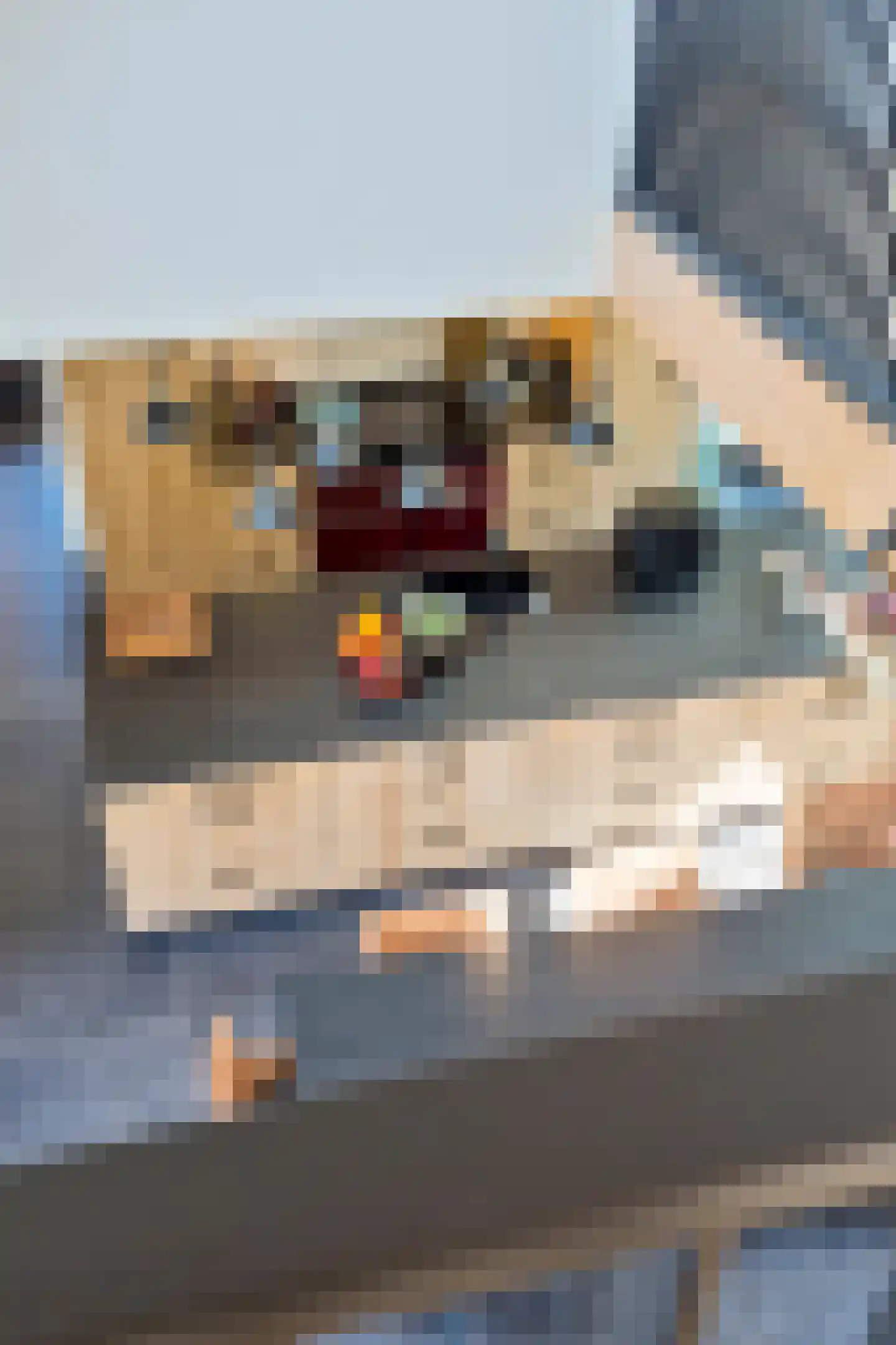 Wellenseind 3 A Lage Mierde thumbnail 39