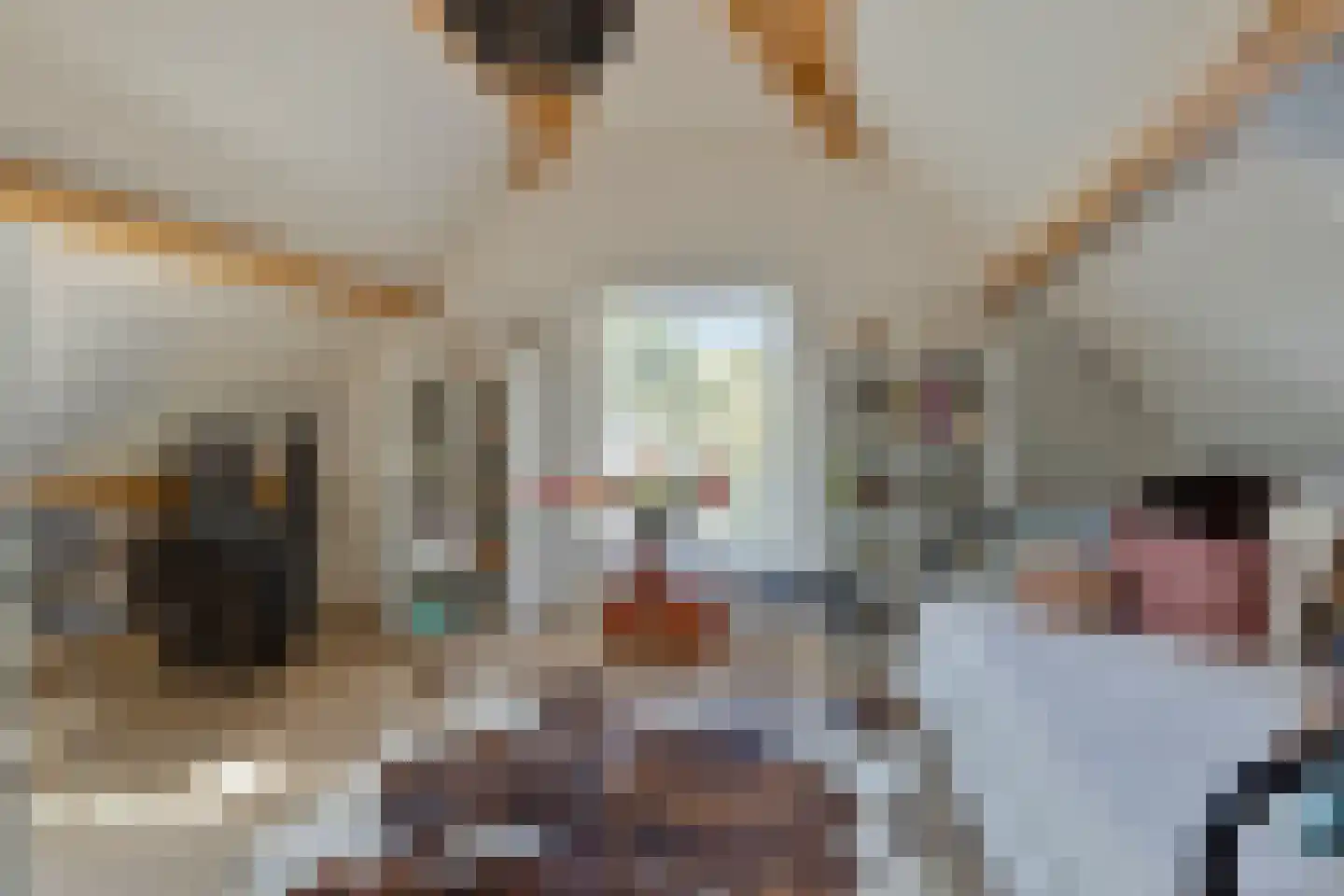 Wellenseind 3 A Lage Mierde thumbnail 42