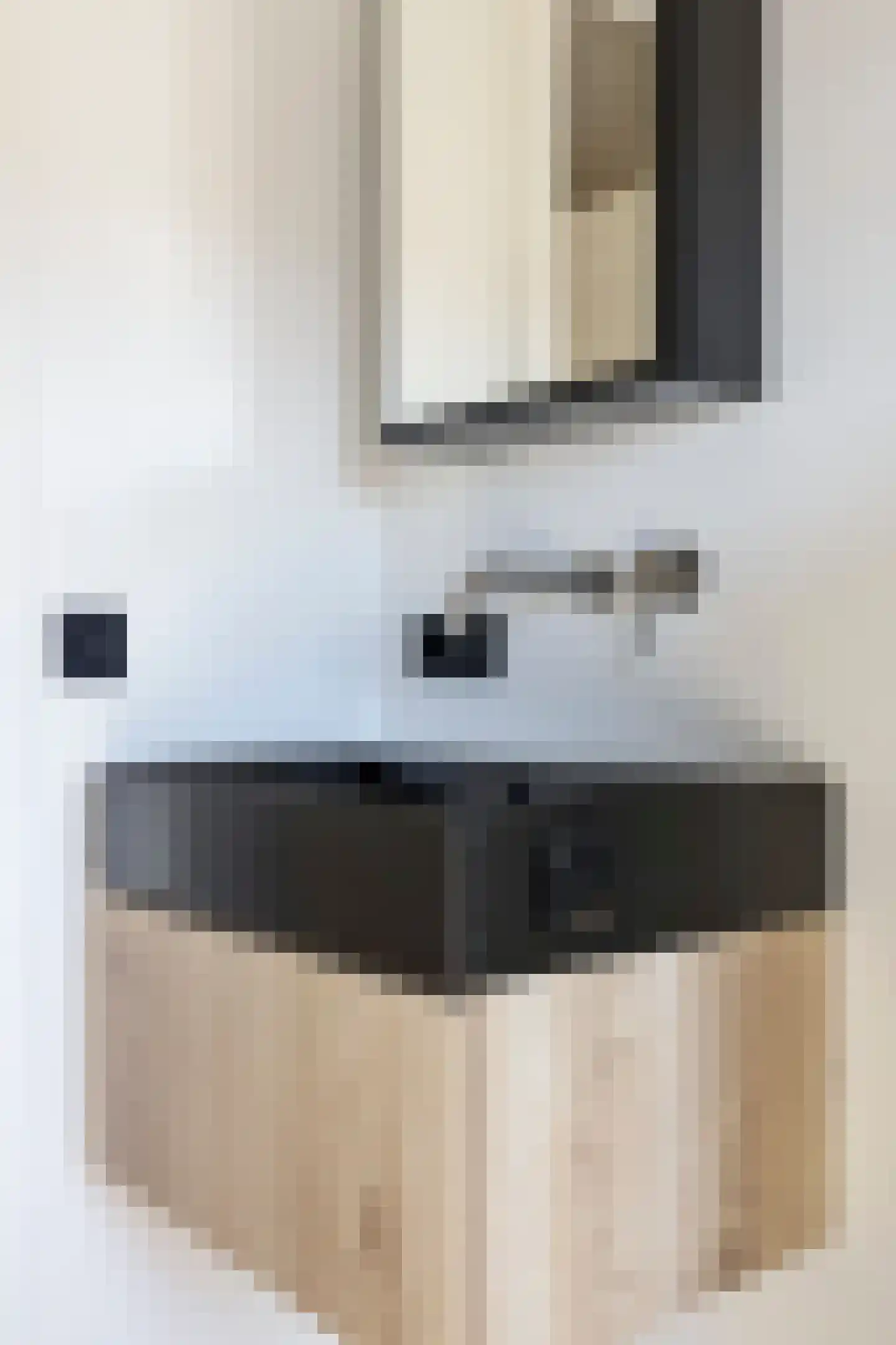 Wellenseind 3 A Lage Mierde thumbnail 44