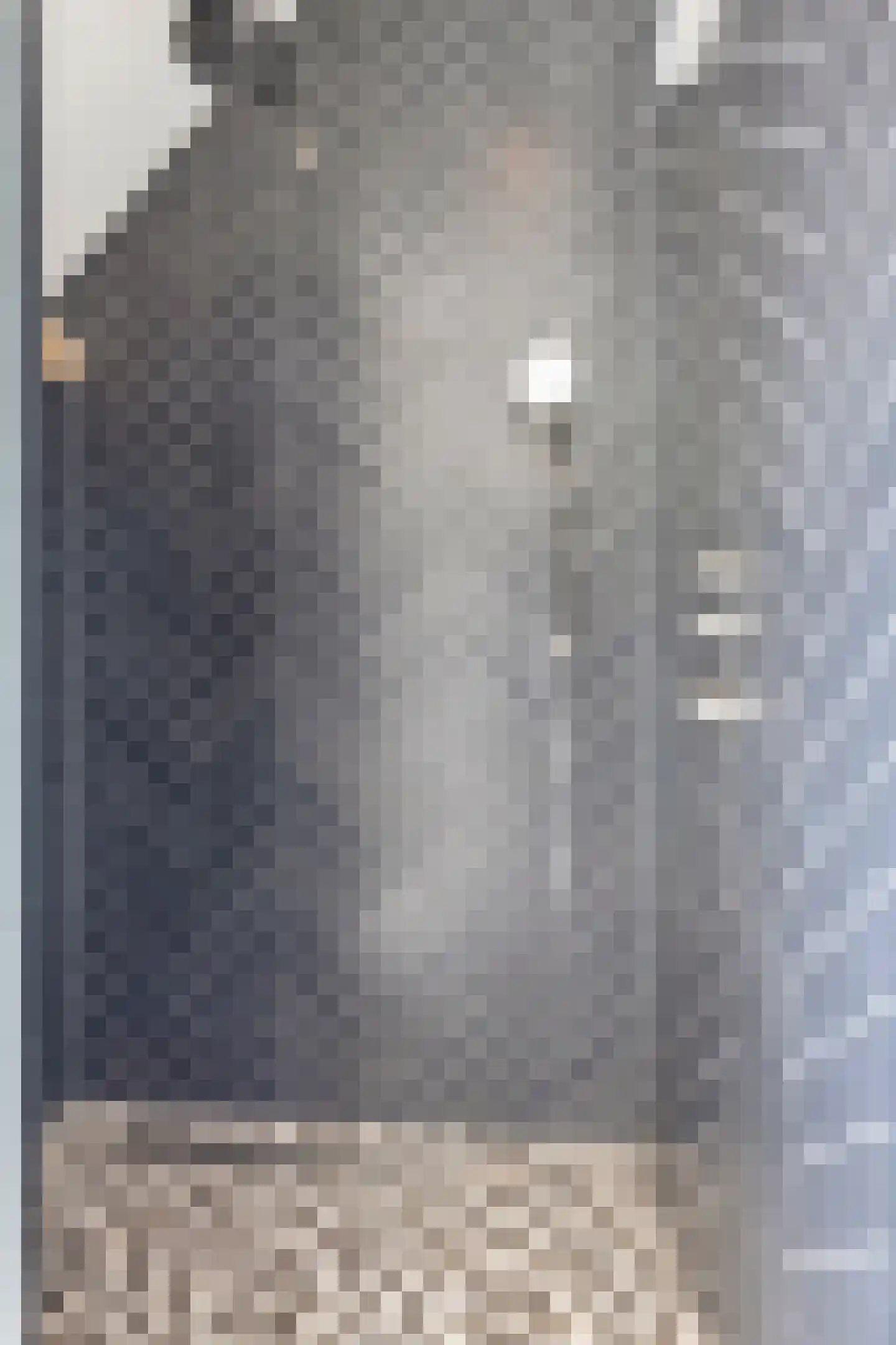 Wellenseind 3 A Lage Mierde thumbnail 45