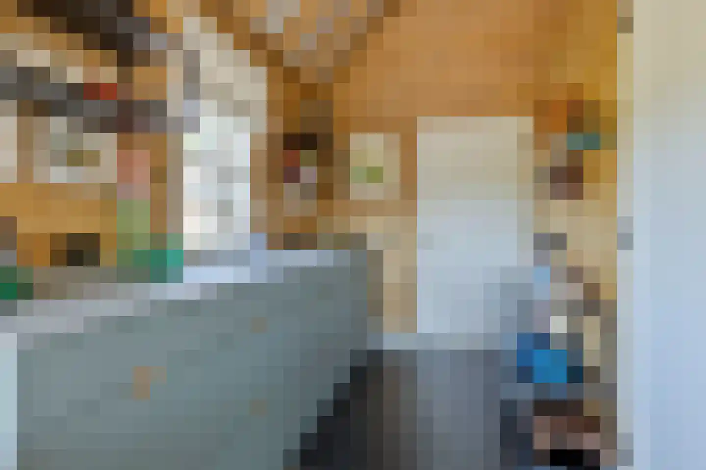 Wellenseind 3 A Lage Mierde thumbnail 51