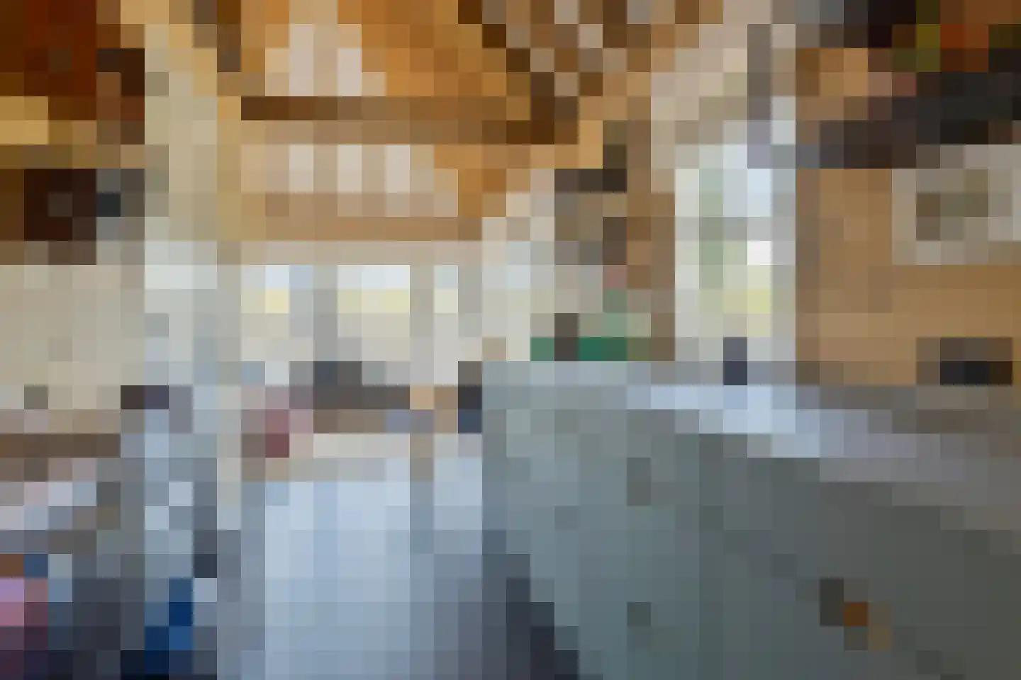 Wellenseind 3 A Lage Mierde thumbnail 52