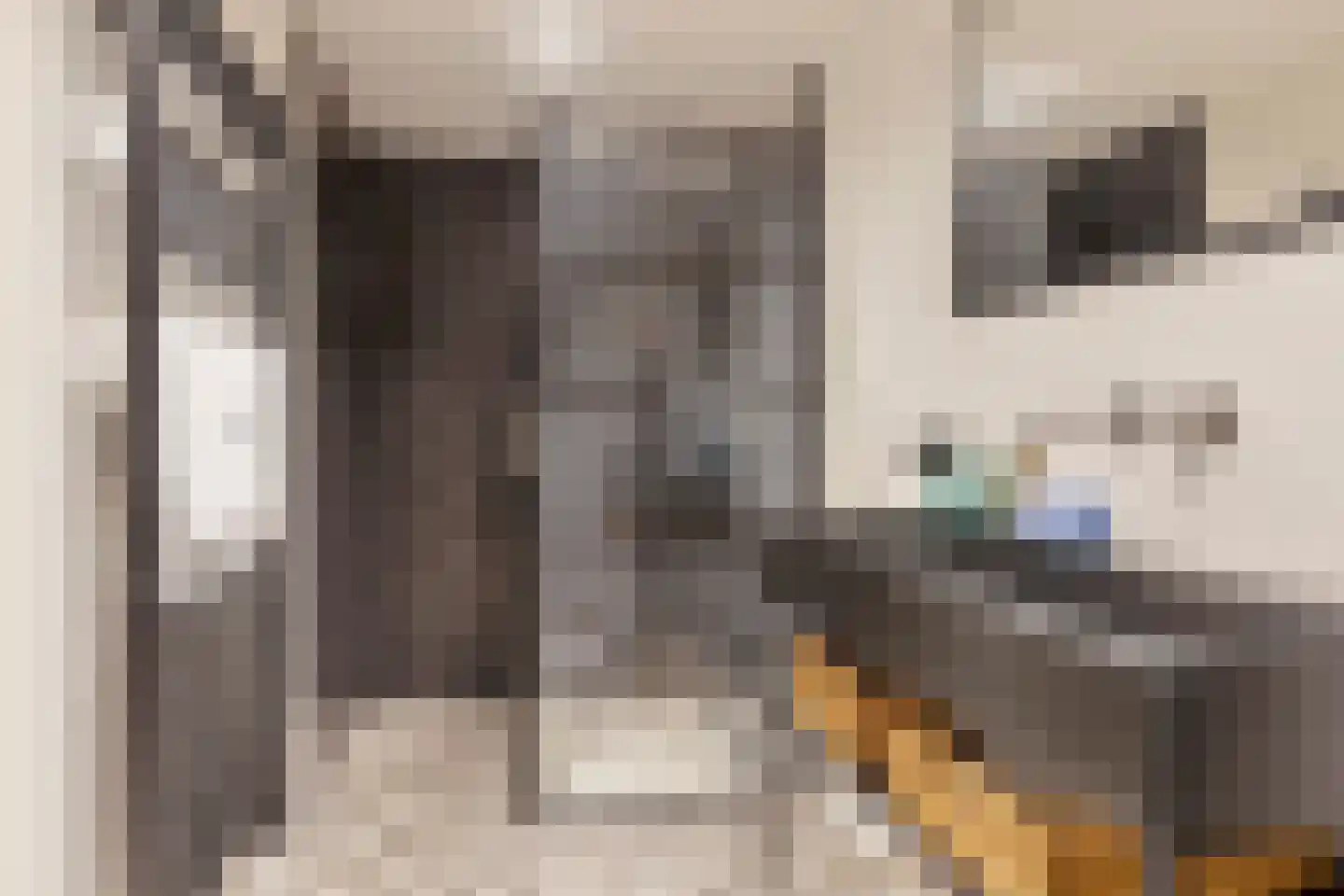 Wellenseind 3 A Lage Mierde thumbnail 54