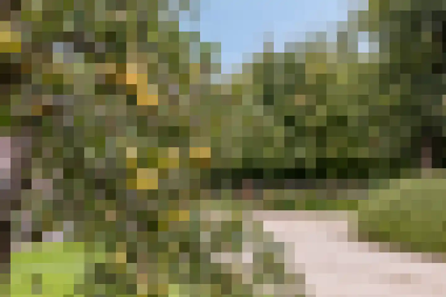 Wellenseind 3 A Lage Mierde thumbnail 56