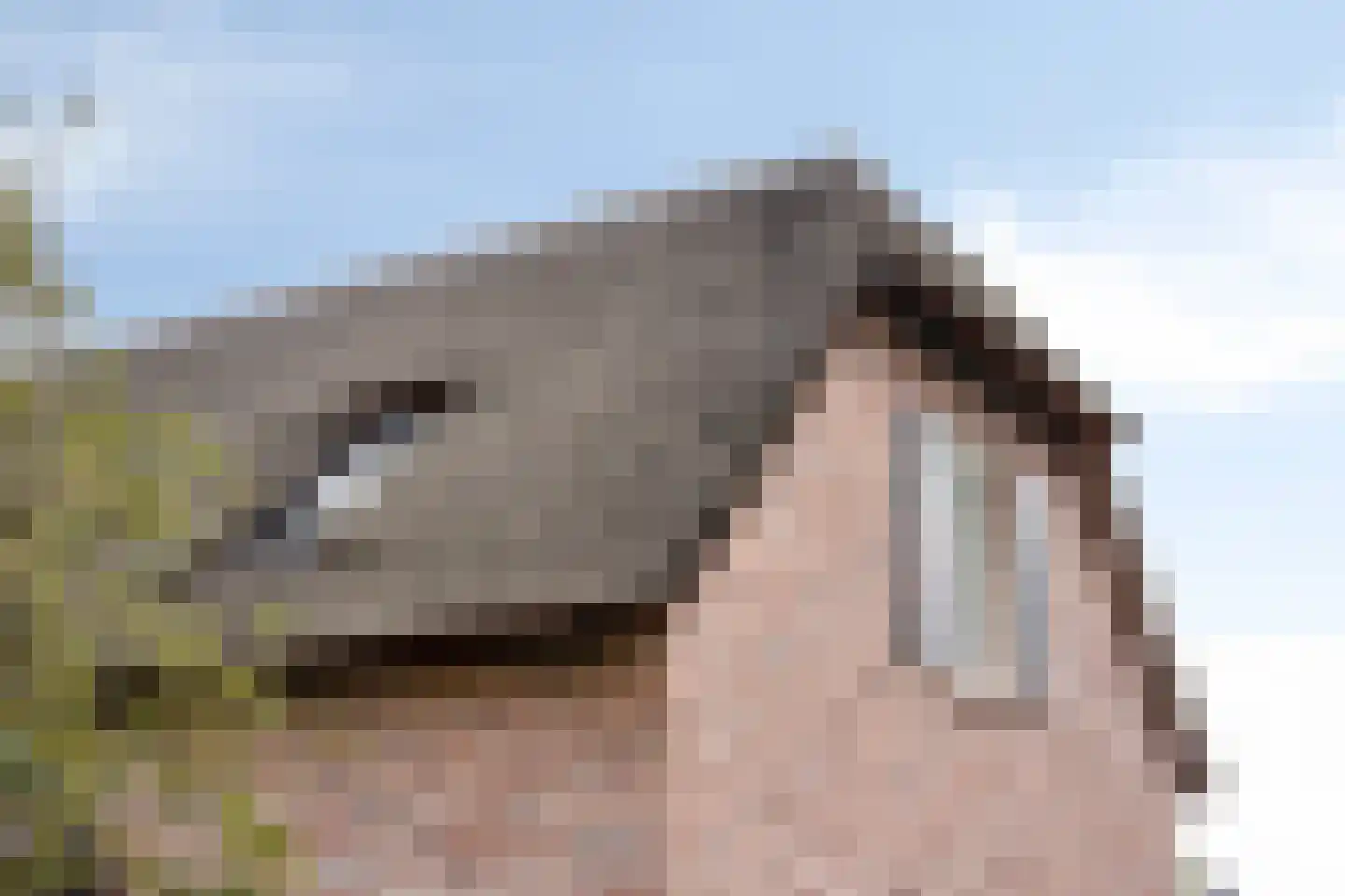 Wellenseind 3 A Lage Mierde thumbnail 58