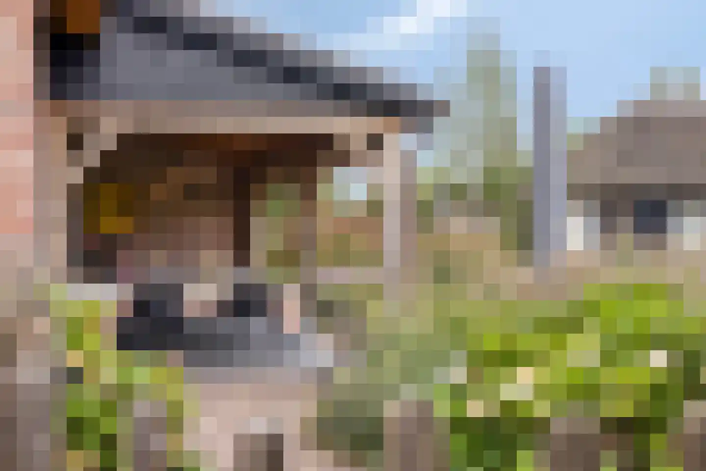 Wellenseind 3 A Lage Mierde thumbnail 60