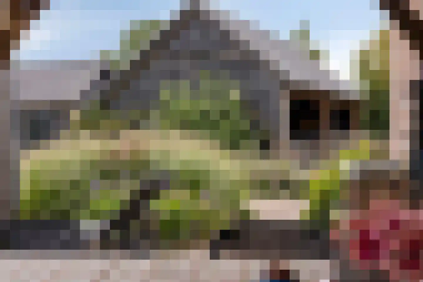 Wellenseind 3 A Lage Mierde thumbnail 61