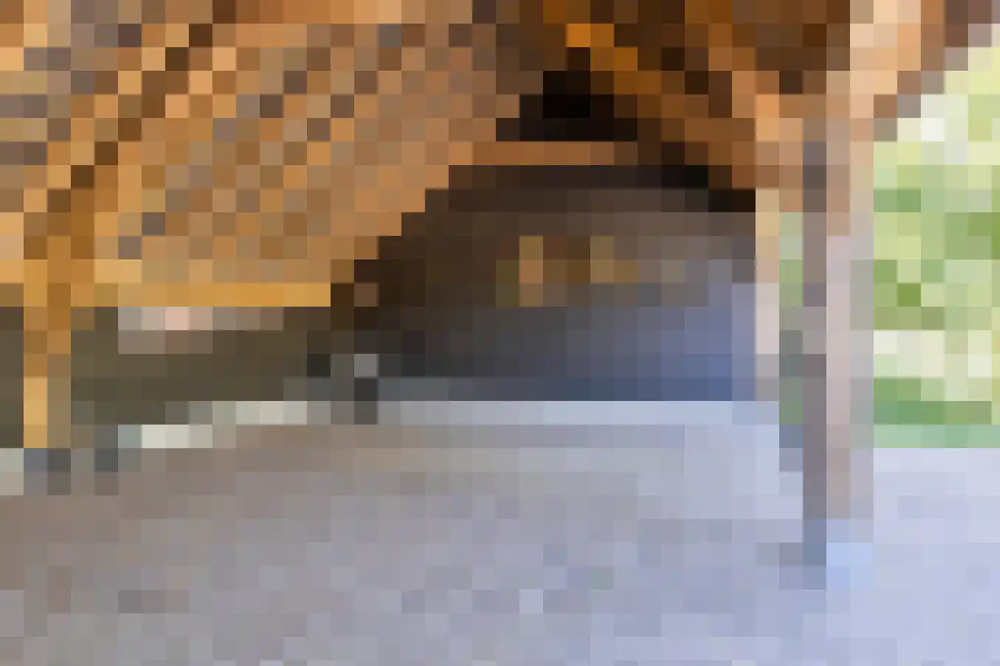 Wellenseind 3 A Lage Mierde thumbnail 62