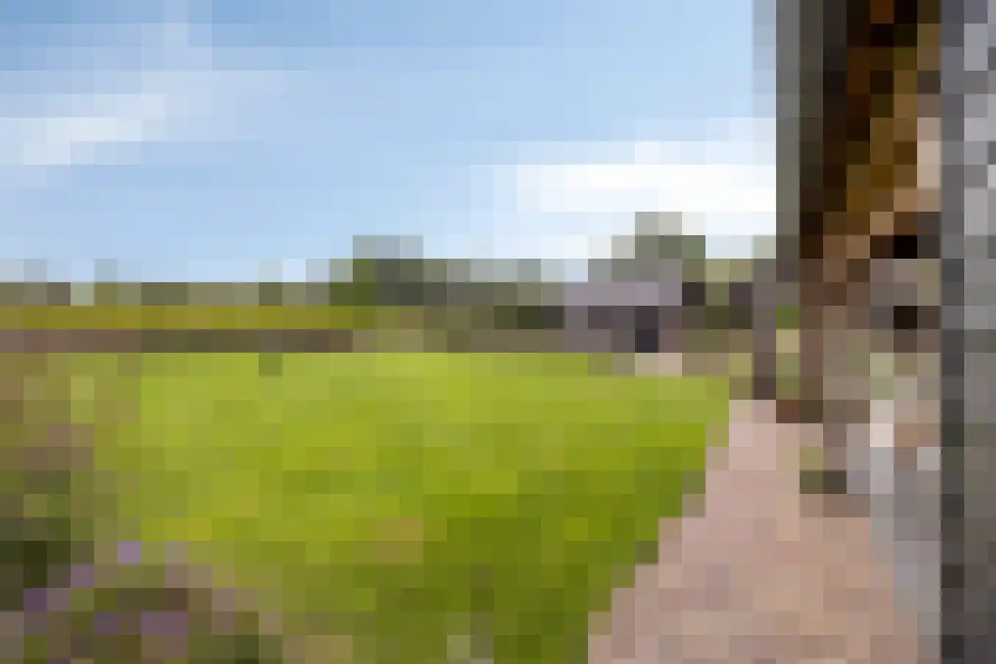 Wellenseind 3 A Lage Mierde thumbnail 65