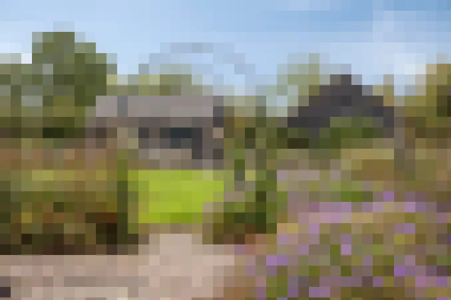 Wellenseind 3 A Lage Mierde thumbnail 67