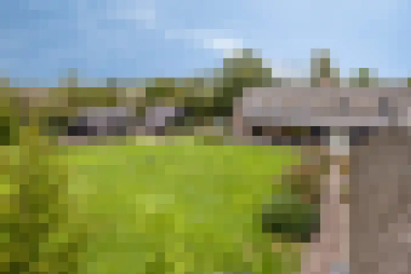 Wellenseind 3 A Lage Mierde thumbnail 69