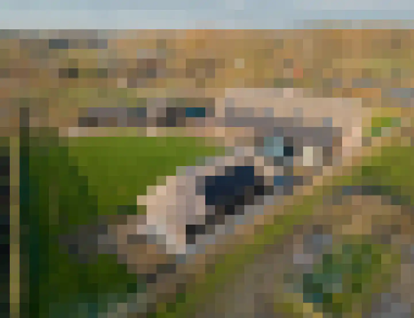 Wellenseind 3 A Lage Mierde thumbnail 73