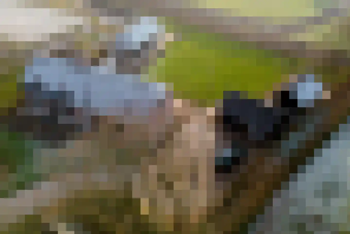 Wellenseind 3 A Lage Mierde thumbnail 74