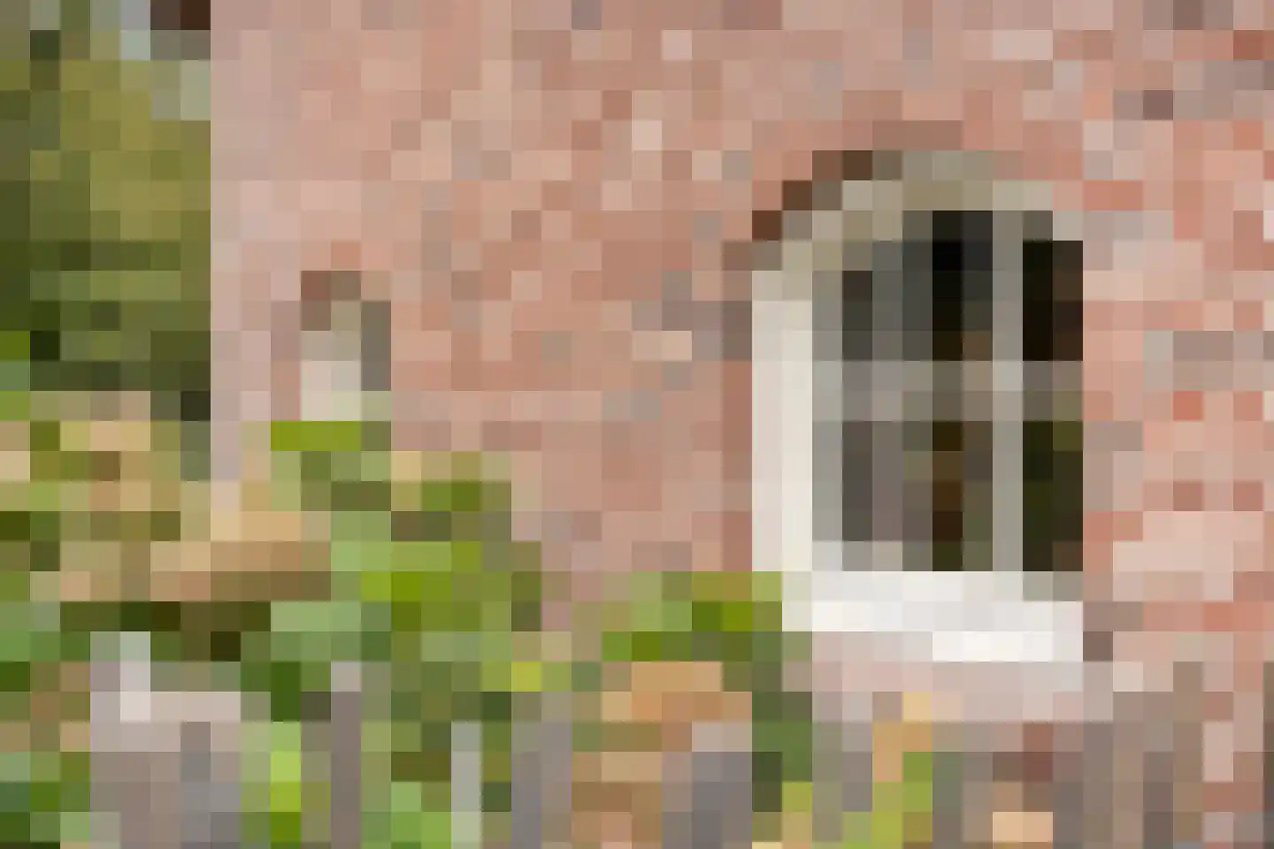 Wellenseind 3 A Lage Mierde thumbnail 9