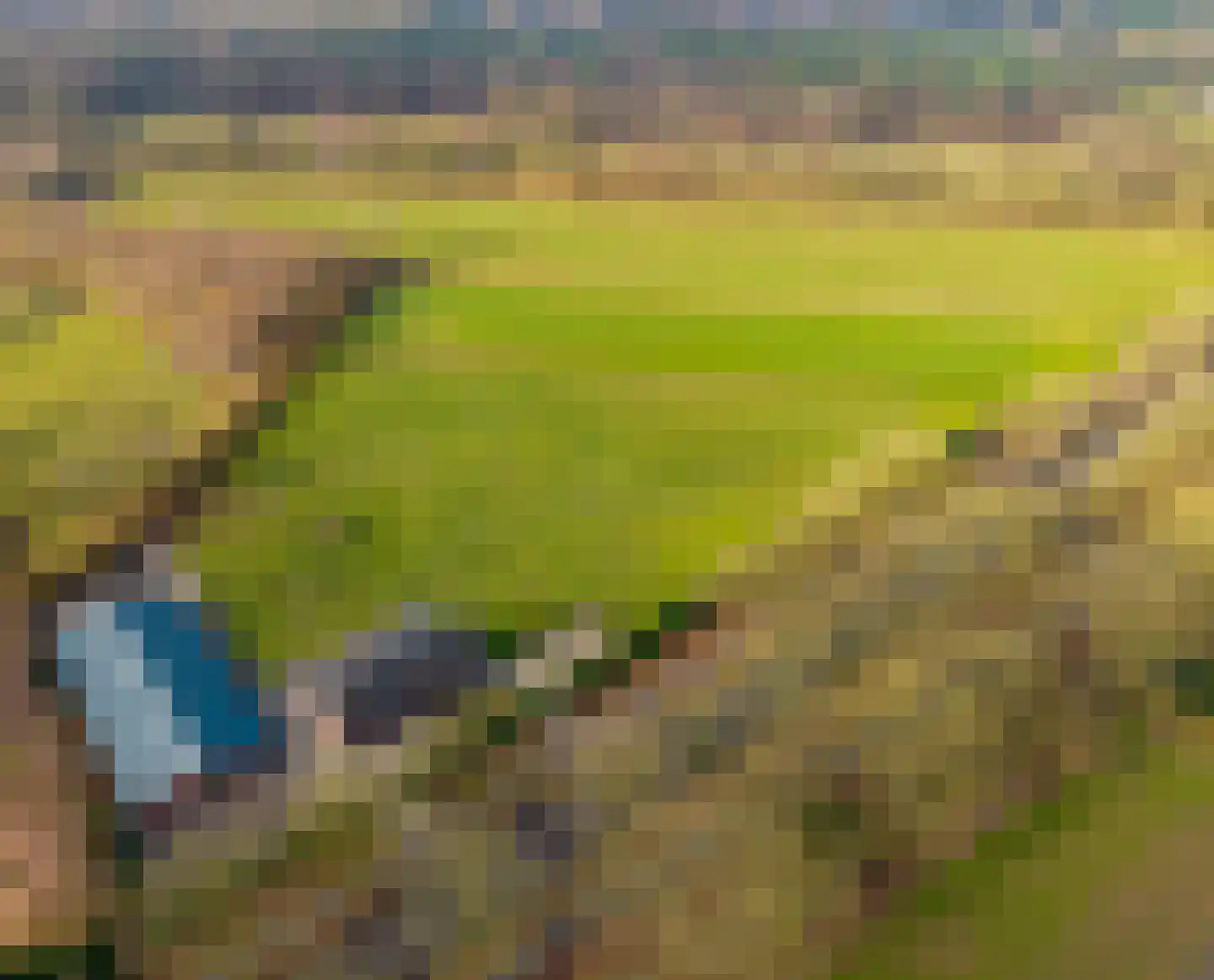 Wellenseind 5 Lage Mierde