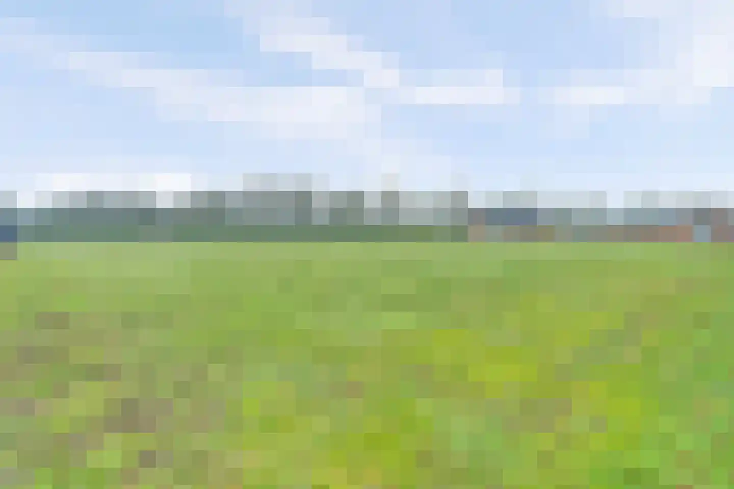 Wellenseind 5 Lage Mierde thumbnail 10