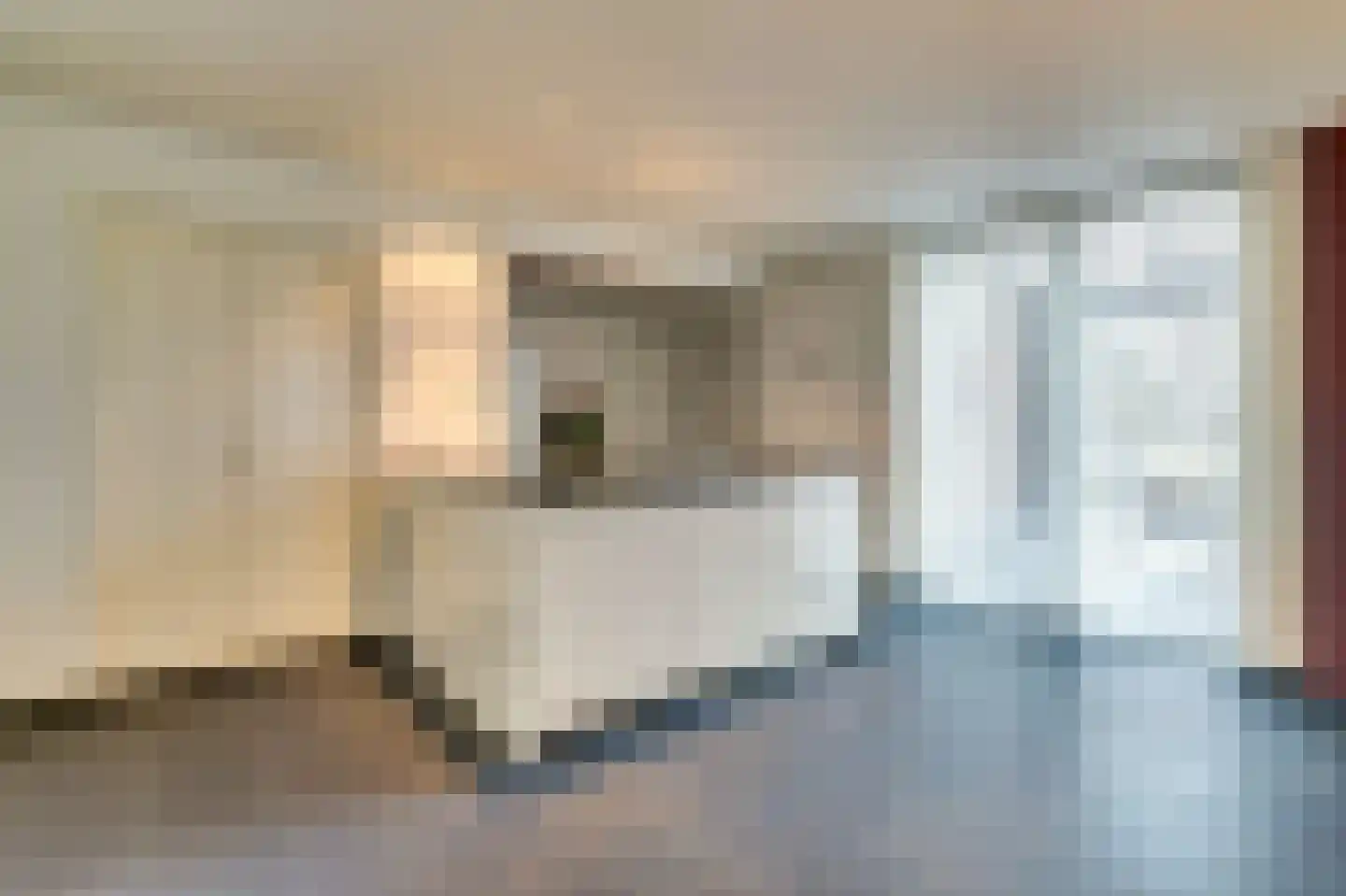Wellenseind 5 Lage Mierde thumbnail 12