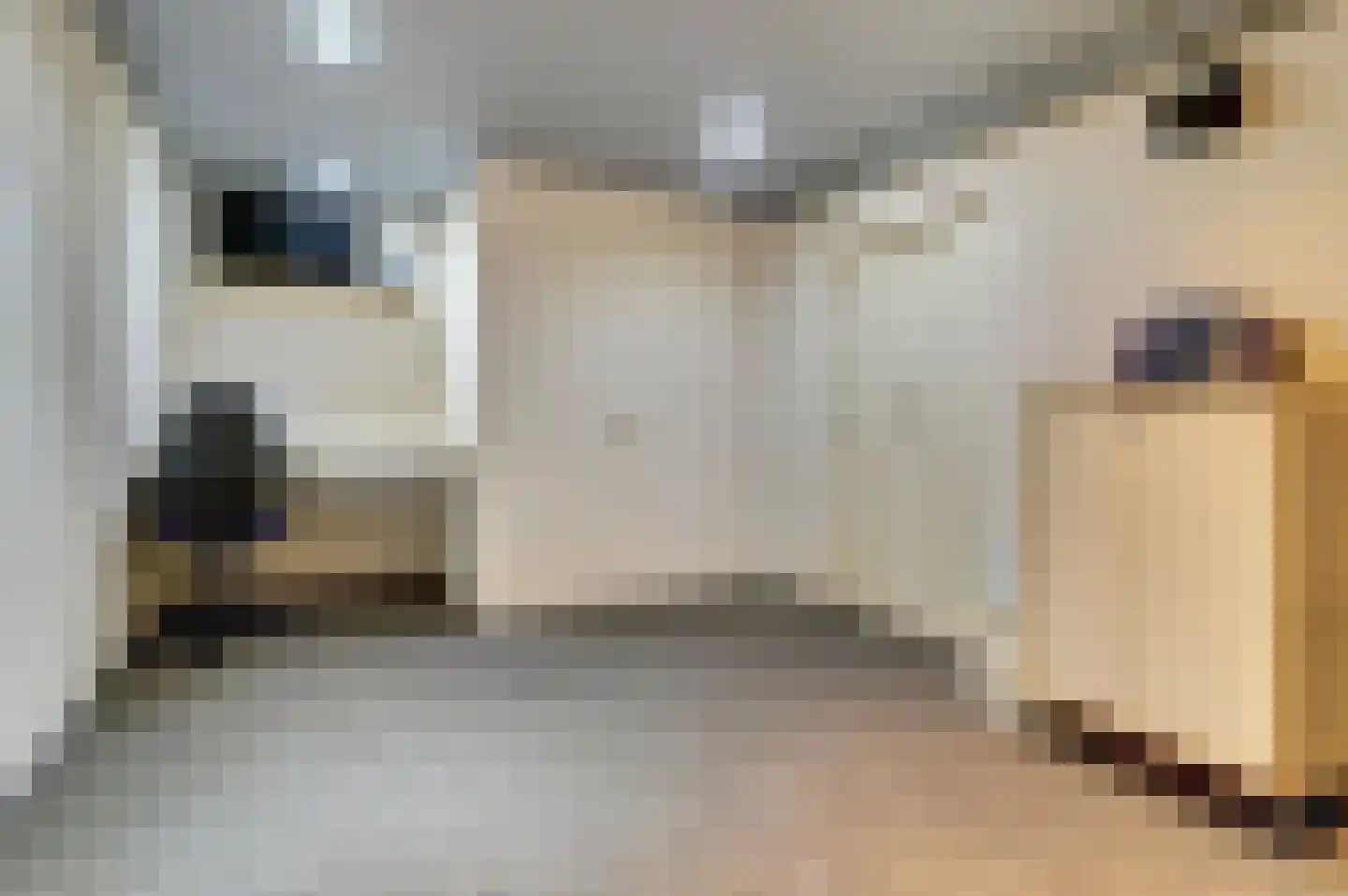 Wellenseind 5 Lage Mierde thumbnail 15