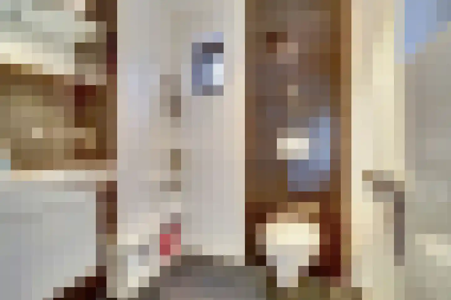 Wellenseind 5 Lage Mierde thumbnail 18
