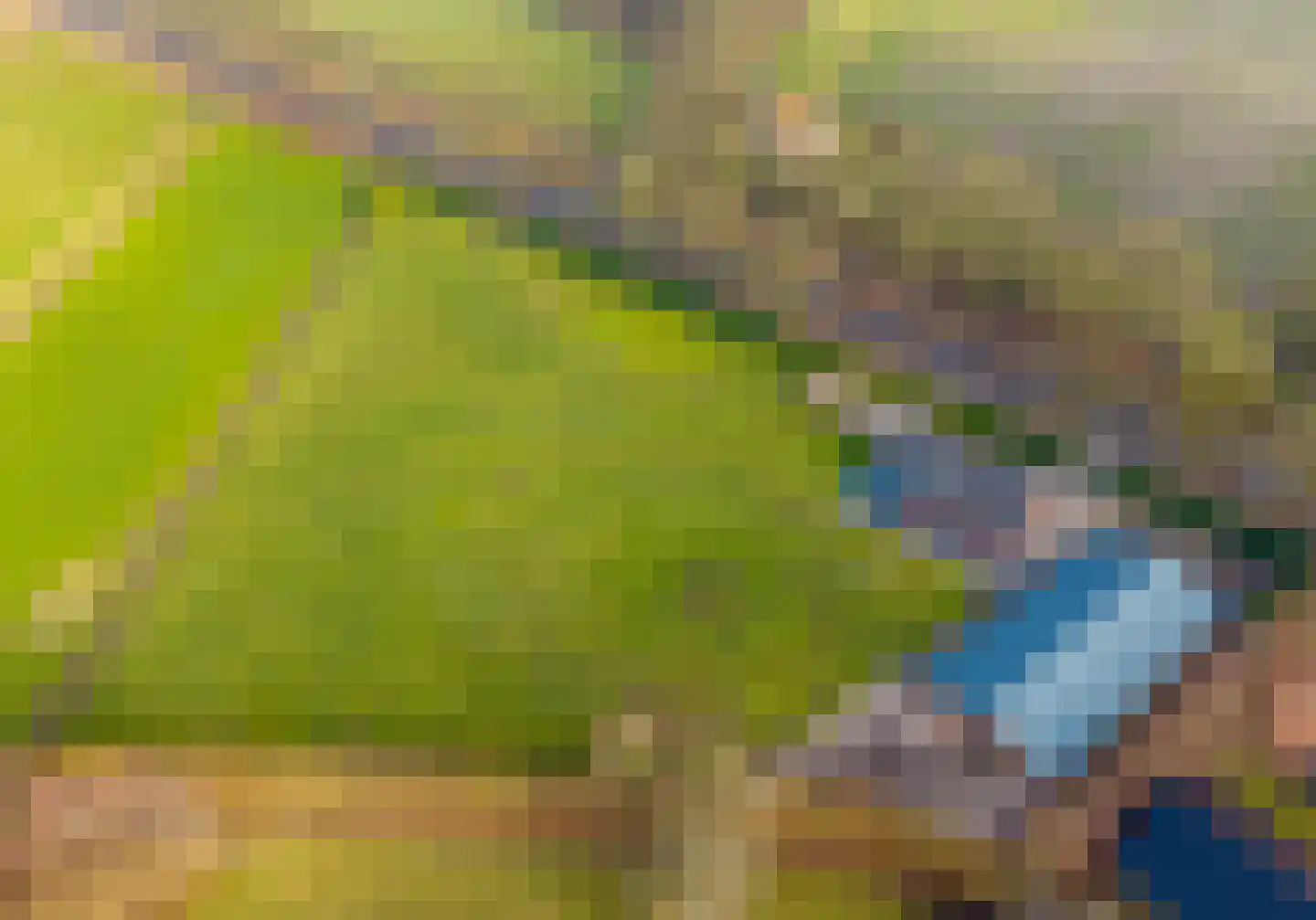 Wellenseind 5 Lage Mierde foto 2