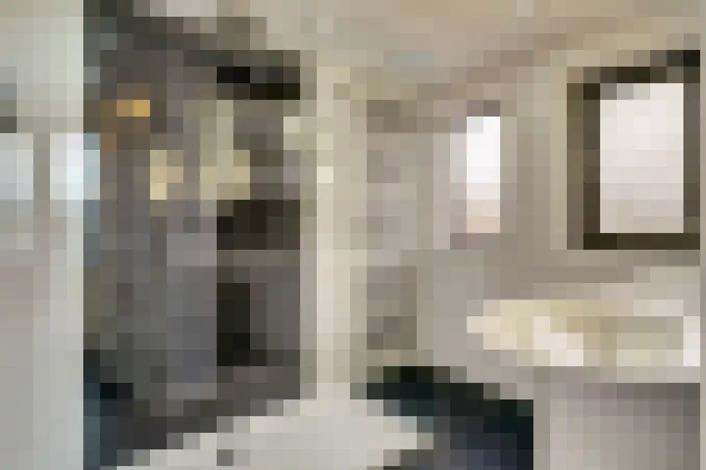 Wellenseind 5 Lage Mierde thumbnail 20