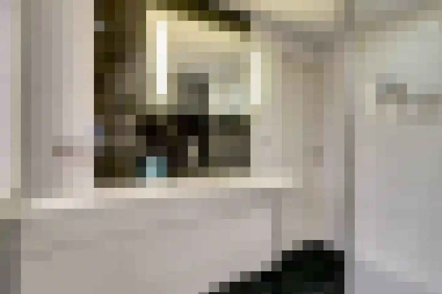 Wellenseind 5 Lage Mierde thumbnail 21