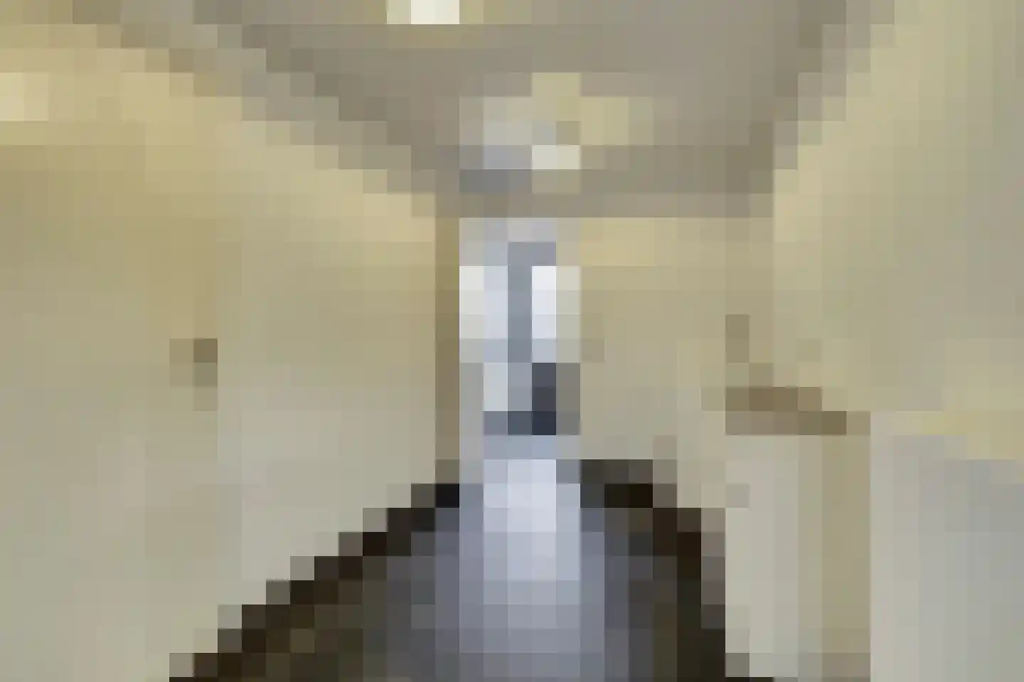 Wellenseind 5 Lage Mierde thumbnail 22