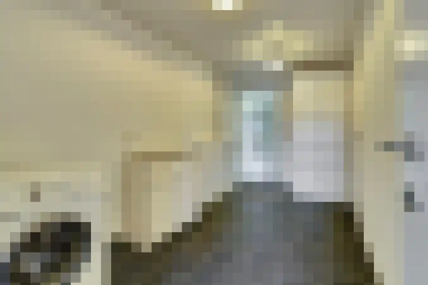 Wellenseind 5 Lage Mierde thumbnail 24