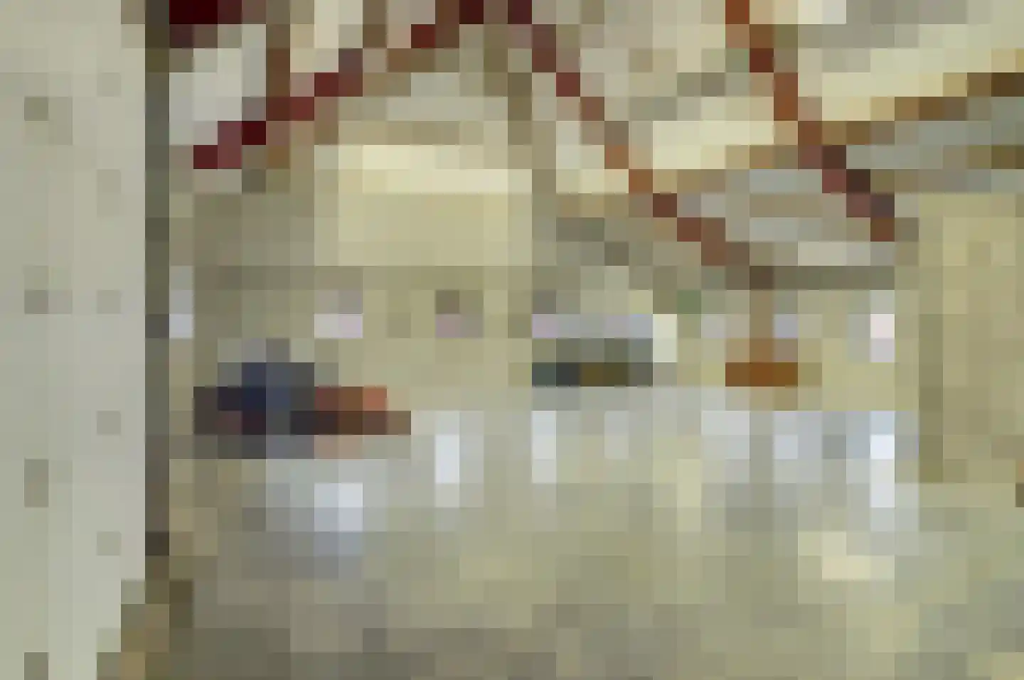 Wellenseind 5 Lage Mierde thumbnail 27